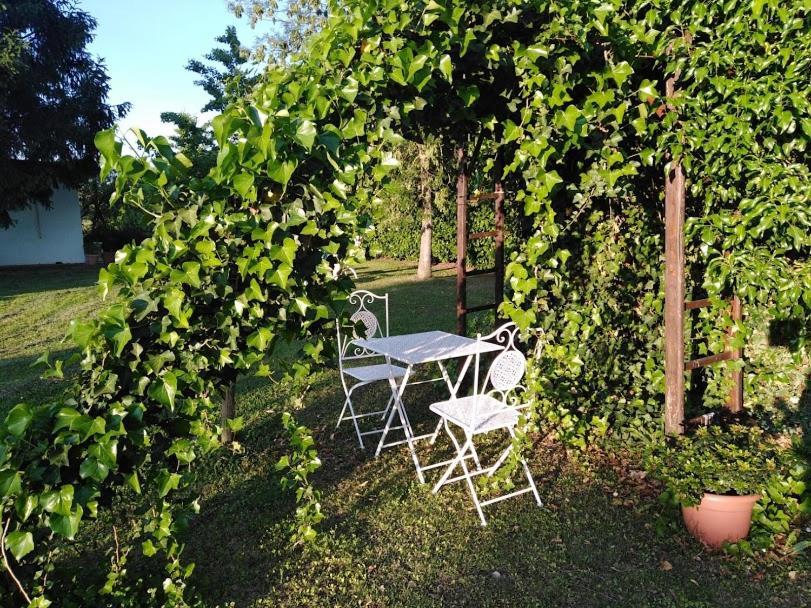 B&B Borgo Del Priolo - Petfriendly Cesena Exterior photo